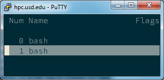 GNU screen window list