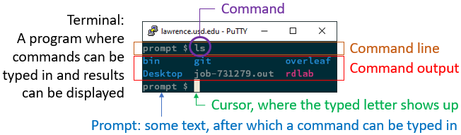 terminal and command line